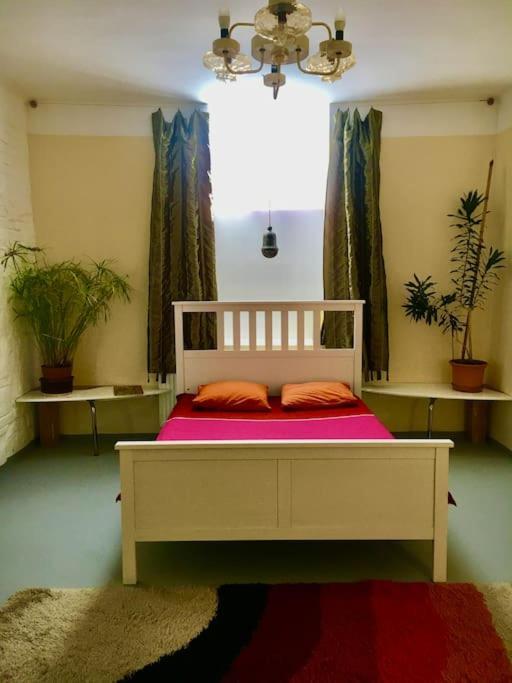 Vintage Studio Apartment, Garden And Free Parking Budapeszt Zewnętrze zdjęcie