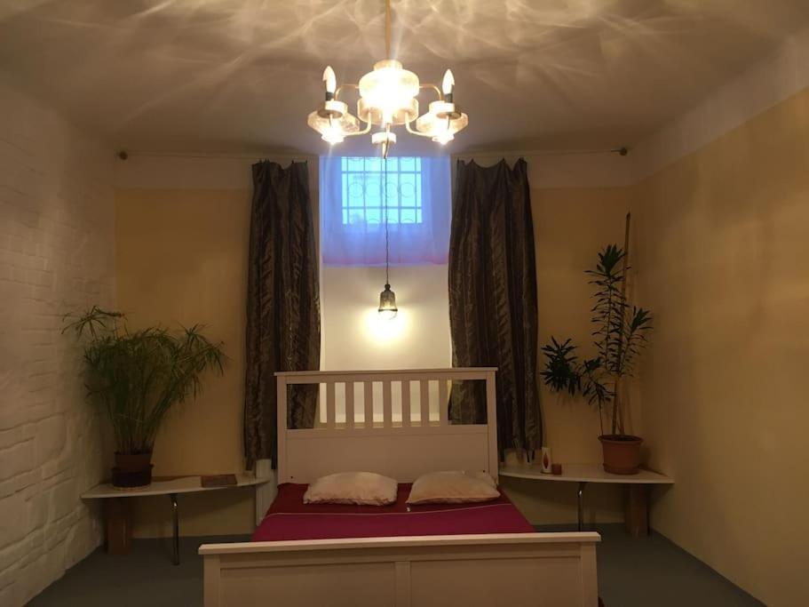 Vintage Studio Apartment, Garden And Free Parking Budapeszt Zewnętrze zdjęcie