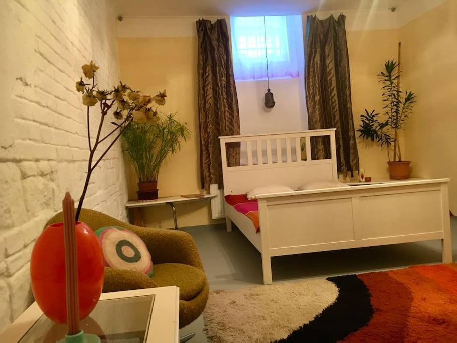 Vintage Studio Apartment, Garden And Free Parking Budapeszt Zewnętrze zdjęcie