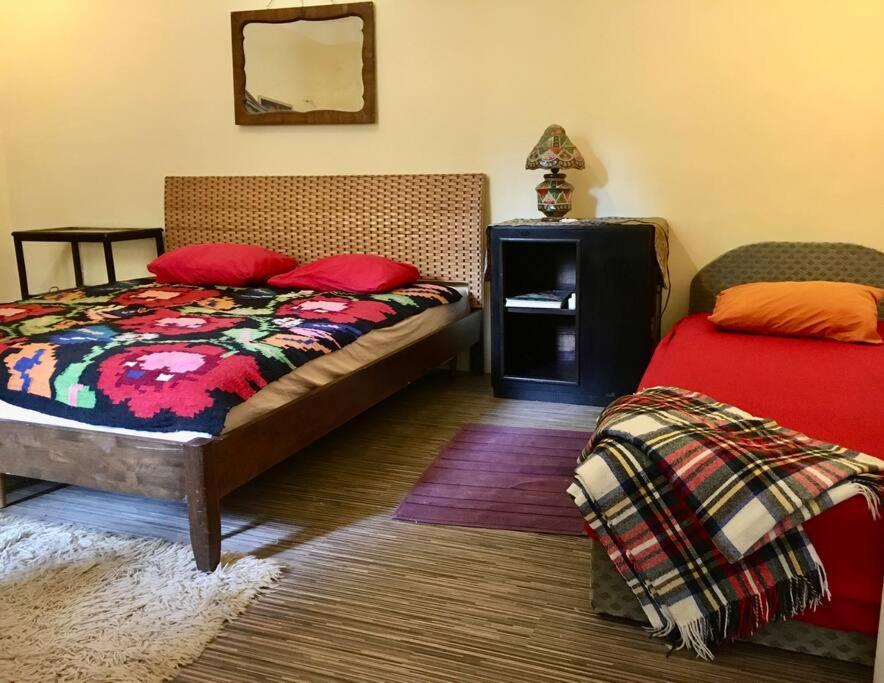 Vintage Studio Apartment, Garden And Free Parking Budapeszt Zewnętrze zdjęcie
