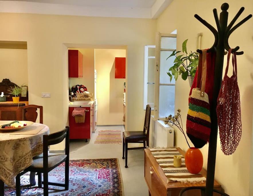 Vintage Studio Apartment, Garden And Free Parking Budapeszt Zewnętrze zdjęcie