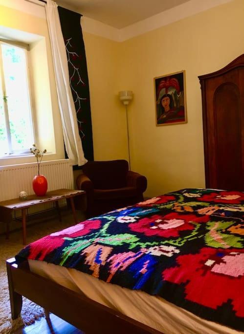 Vintage Studio Apartment, Garden And Free Parking Budapeszt Zewnętrze zdjęcie
