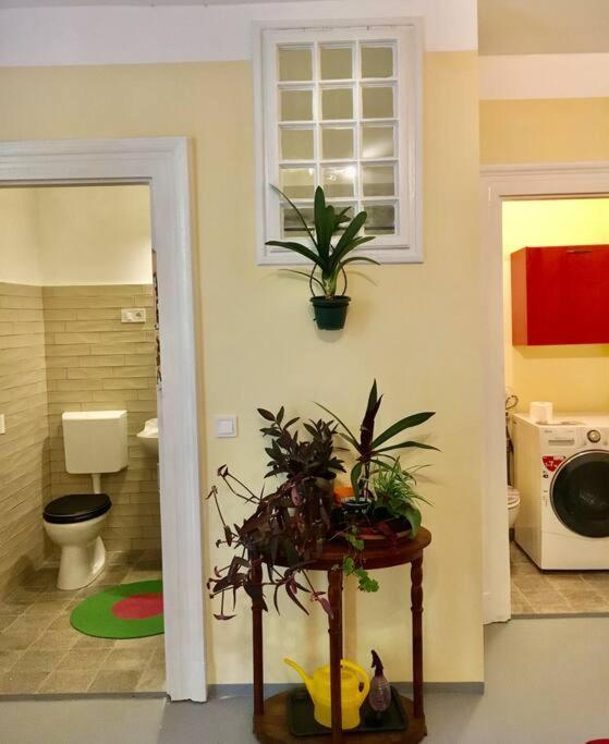 Vintage Studio Apartment, Garden And Free Parking Budapeszt Zewnętrze zdjęcie