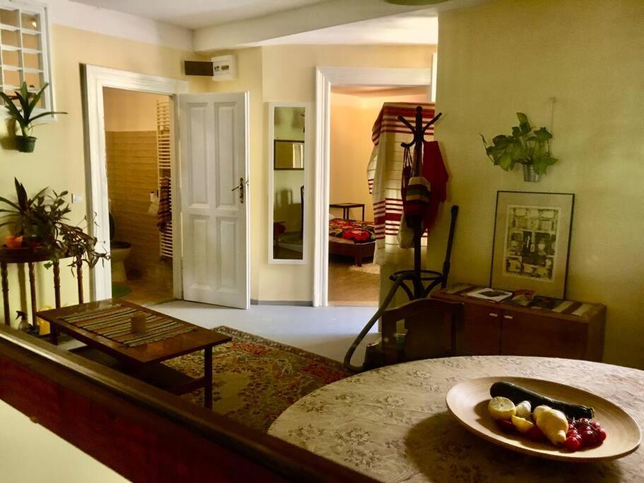 Vintage Studio Apartment, Garden And Free Parking Budapeszt Zewnętrze zdjęcie