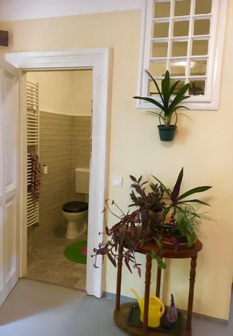 Vintage Studio Apartment, Garden And Free Parking Budapeszt Zewnętrze zdjęcie